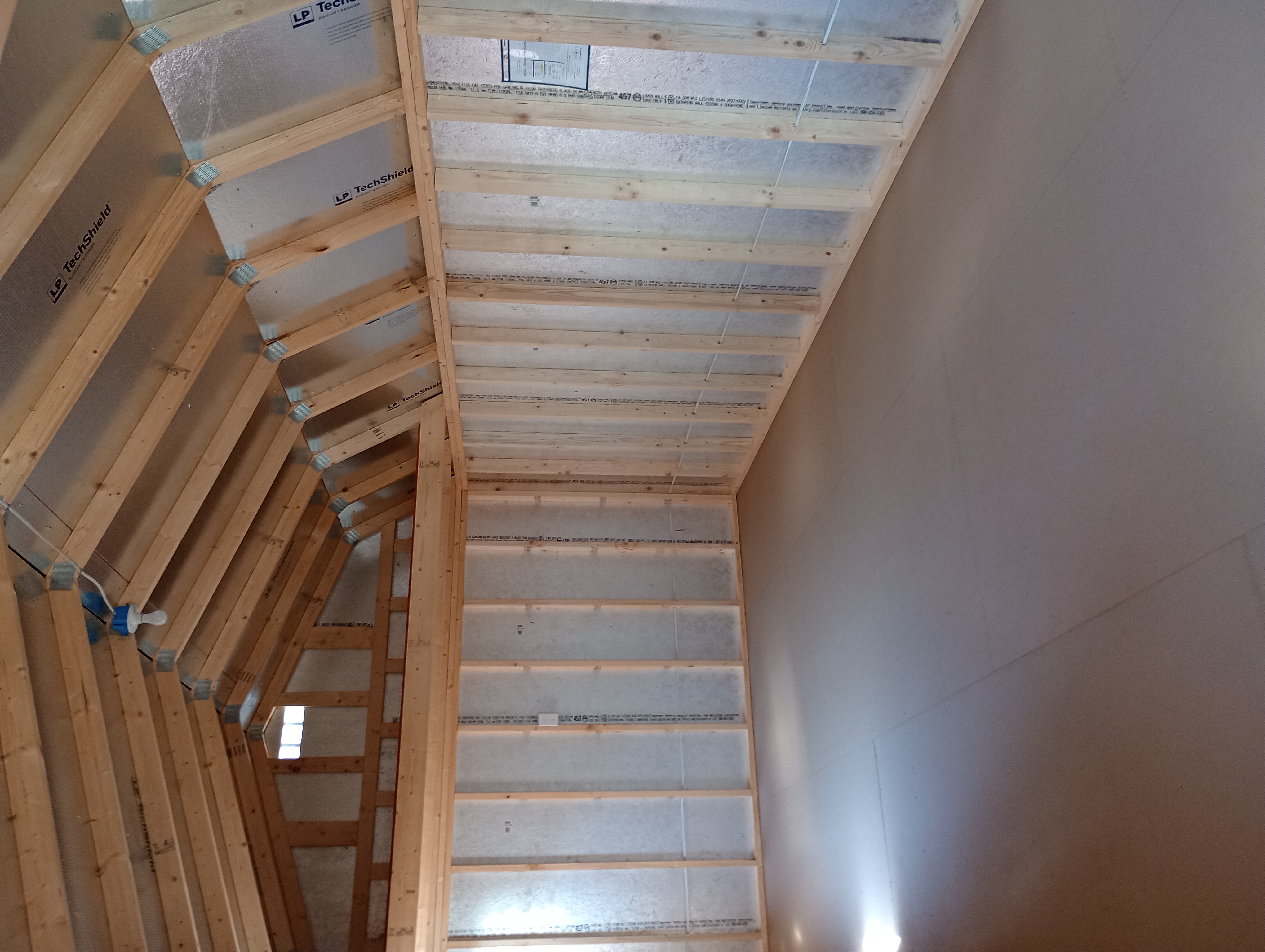 Thumbnail 3 for 12 x 24 Lofted Barn (Low Wall)